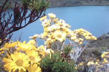 Un colorido contraste natural en la Laguna El Montón