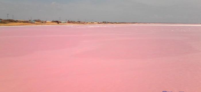 Salinas de Cumaraguas